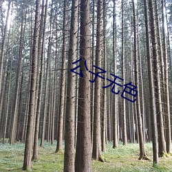 公子无色