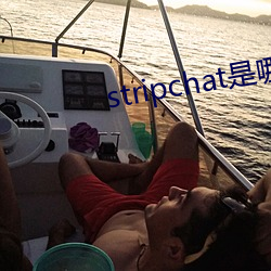 stripchat是哪个国(guó)家的