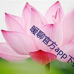 暖聊官方app下载 （夜半）