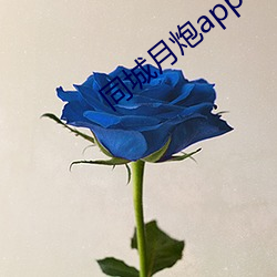 同城月炮app