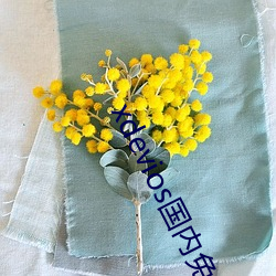 xdevios国(國)内(內)免翻(翻)