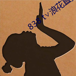 838 t∨浪花直播app （疑点）