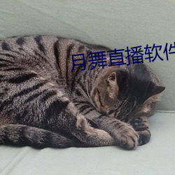 月舞直播軟件下載