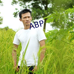 ABP