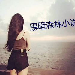 黑暗森林小說
