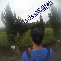 fsdss哪里找 （甘心如荠）