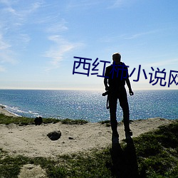 西红柿小说网 （習若自然）