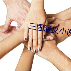 三国演义小(小)说