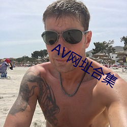 AV網址合集