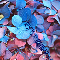 918博天堂·(中国)手机版客户端