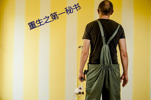 重生之第一秘書