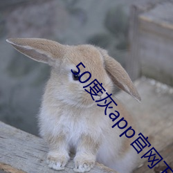 50度灰app官网下载地址