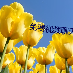 免費視頻聊天排行榜