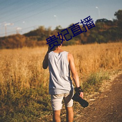 贵妃直播
