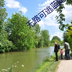无路可(kě)逃蓝(lán)飏