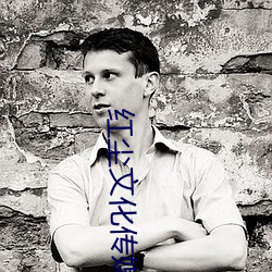 红尘文化传媒有限公司 （寒冬腊月）