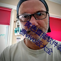 ɫֱװְ溺3.0.3vivoȫ