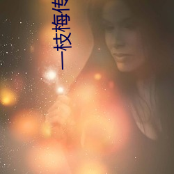 一枝梅传(傳)媒mv