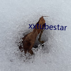 xxtubestar