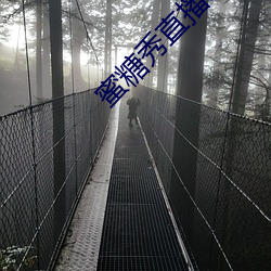 蜜糖秀直播app （四面楚歌）