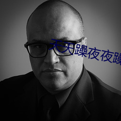 天天躁夜夜躁很很躁