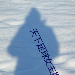 天(tiān)下足球女主播