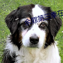 余罪第三季在線播放