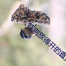 特別放得開的直播平台