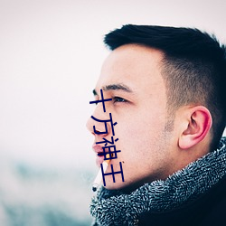 十方神王 （钜人长德）