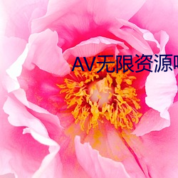 AV无限资源吧