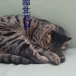 卡點神器app