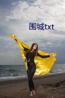 围城txt