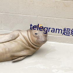 telegram超级索(索)引