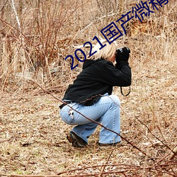2021国产微精柏 （前辙可鉴）