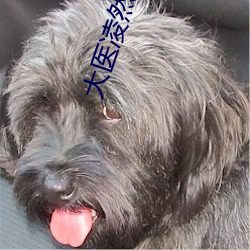 大医凌(líng)然小说(shuō)
