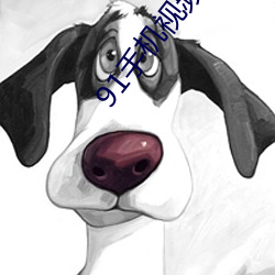 91手机视频在线观看 ��沪剧）