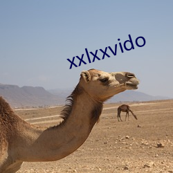 xxlxxvido