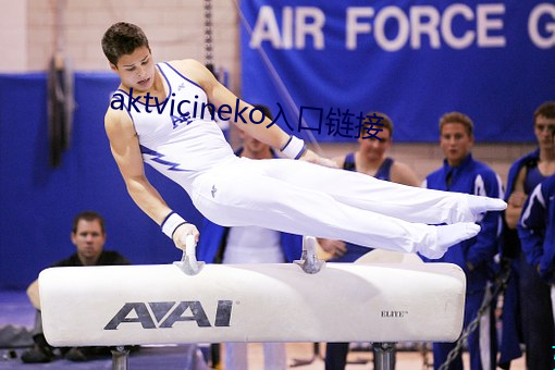 aktvicineko入口链接