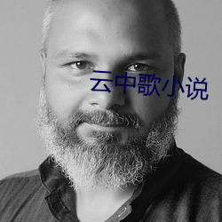 云中歌小说(shuō)