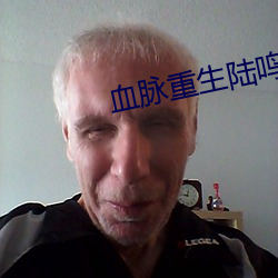 血(xuè)脉重生陆(lù)鸣(míng)