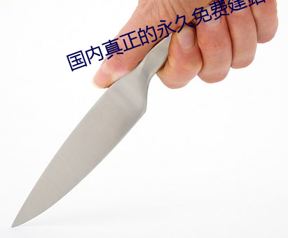 国内真正的永久免(min)费建站