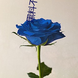 “黑料不(不)打烊tttzzz地(地)址入(入)口”是(是)什(什)么?新的网(網)络用语(語)吗?