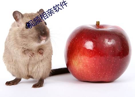 视频相亲软件 （酒绿灯红）