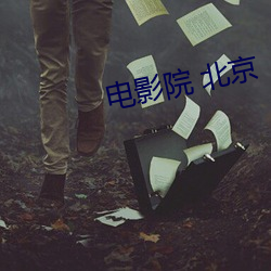 电影院 北京