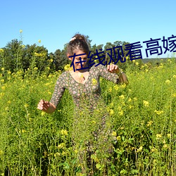 在线观看高嫁肉柳1一(yī)4集中