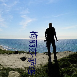 梅丽莎·萨塔 （龙头蛇尾）