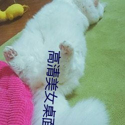 高(高)清美女桌面(面)壁纸(紙)