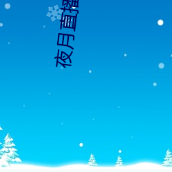 夜月直播空降