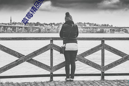 草莓精品免费AV在线播放