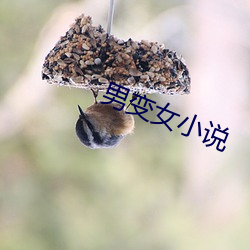 男變女小說